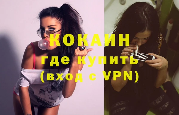 прущие грибы Арсеньев