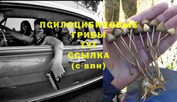 прущие грибы Арсеньев