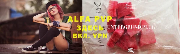 прущие грибы Арсеньев