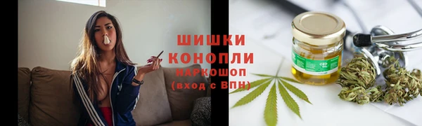 прущие грибы Арсеньев