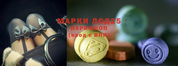 прущие грибы Армянск