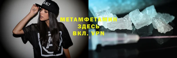 прущие грибы Армянск