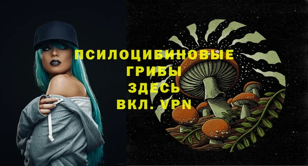 a pvp Аркадак
