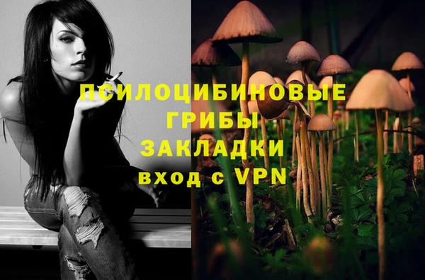 прущие грибы Армянск