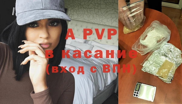 прущие грибы Арсеньев