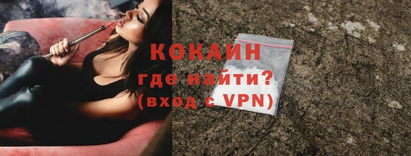 прущие грибы Арсеньев