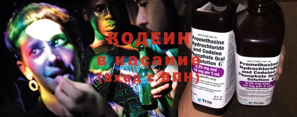 прущие грибы Армянск