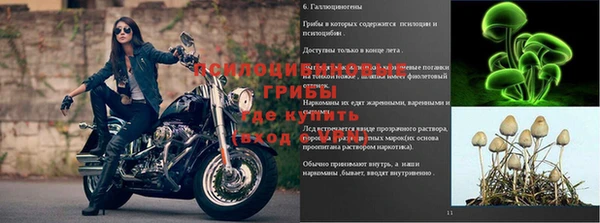 хмурый Алзамай