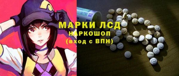 прущие грибы Армянск