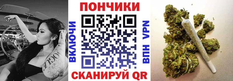Шишки марихуана конопля  Козьмодемьянск 
